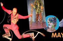 Incredible Circus Millibo!